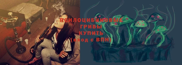 бошки Богородск