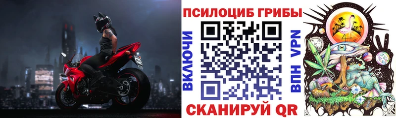 Псилоцибиновые грибы Cubensis  Удомля 
